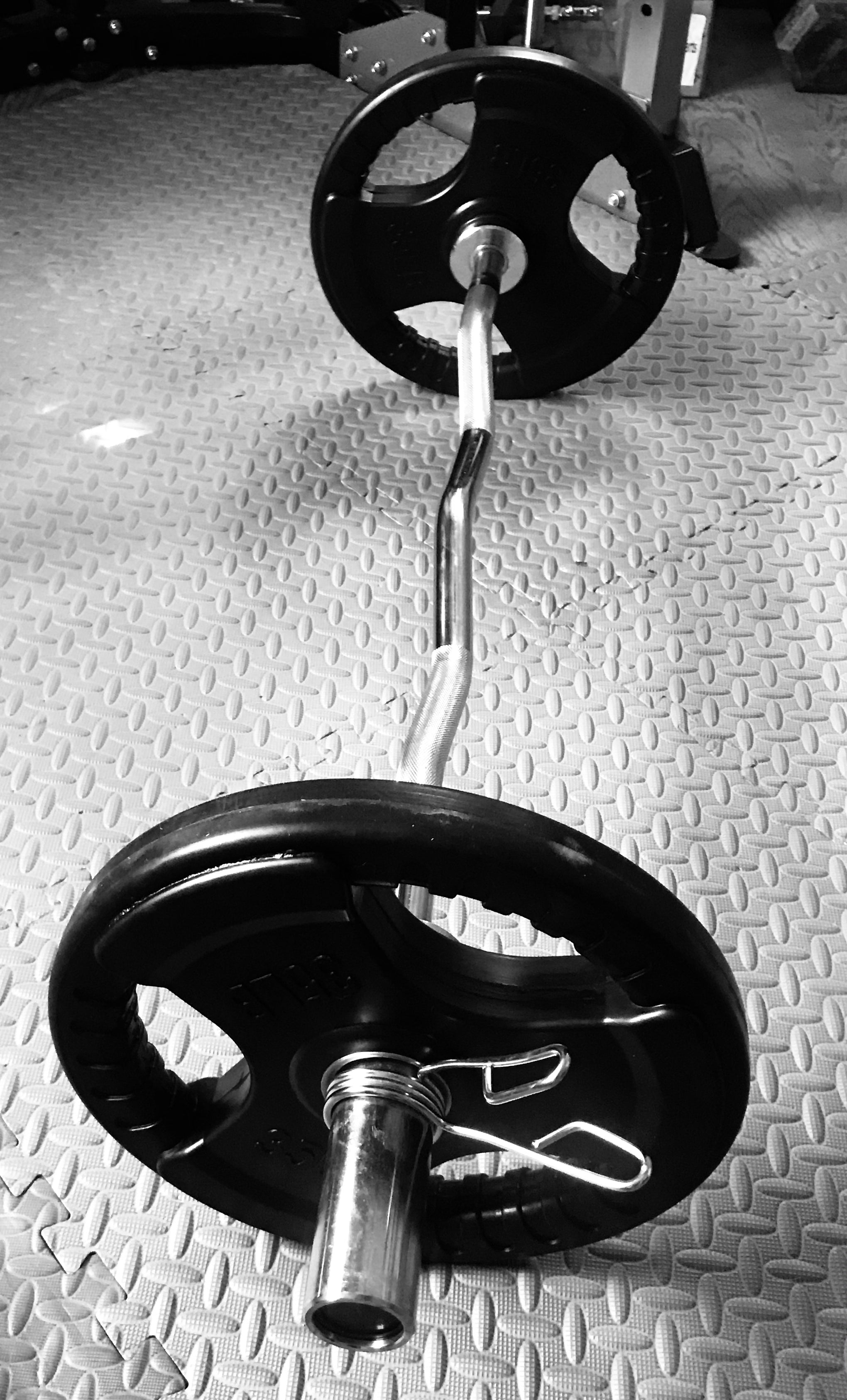 Weights with commercial grade stainless steel curl bar
